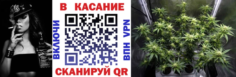 Где купить наркотики Светлоград Галлюциногенные грибы Cocaine Меф мяу мяу АМФ Конопля мега ссылки A PVP
