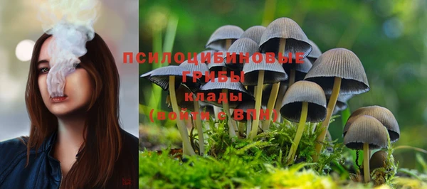 прущие крисы Алзамай