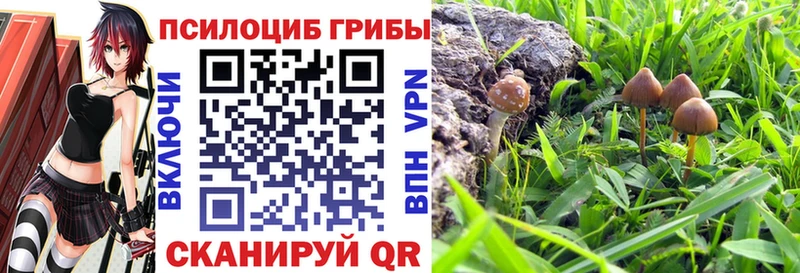 Псилоцибиновые грибы мицелий  blacksprut ТОР  Светлоград 