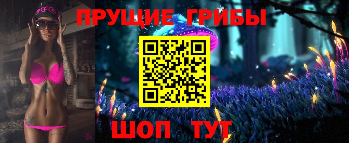 Псилоцибиновые грибы прущие грибы  Вход с VPN  купить закладку  Светлоград 